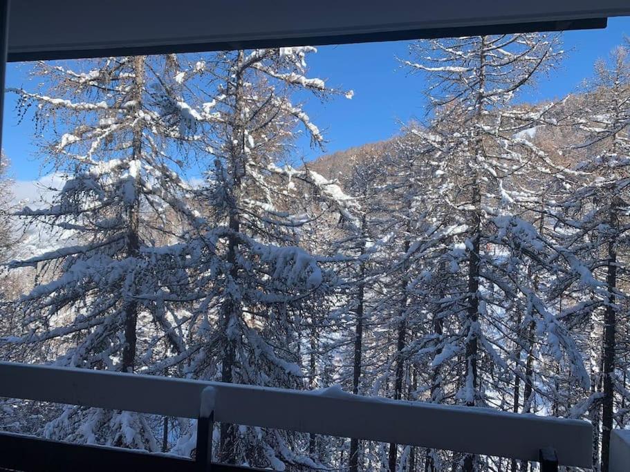 Apartment Le Flocon *